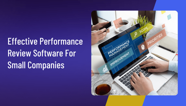 Effective Performance Review Software For Small Companies